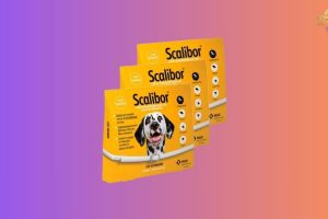 As melhores coleiras contra leishmaniose: A MSD Scalibor ainda é a número 1?