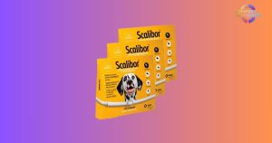 As melhores coleiras contra leishmaniose: A MSD Scalibor ainda é a número 1?